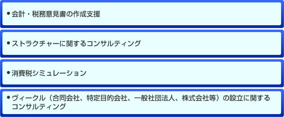 会計・税務意見書の作成支援,ストラクチャーに関するコンサルティング,消費税シミュレーション,ヴィークル（合同会社、特定目的会社、一般社団法人、株式会社等）の設立に関するコンサルティング