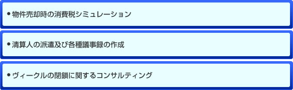 物件売却時の消費税シミュレーション,清算人の派遣及び各種議事録の作成,<li>ヴィークルの閉鎖に関するコンサルティング